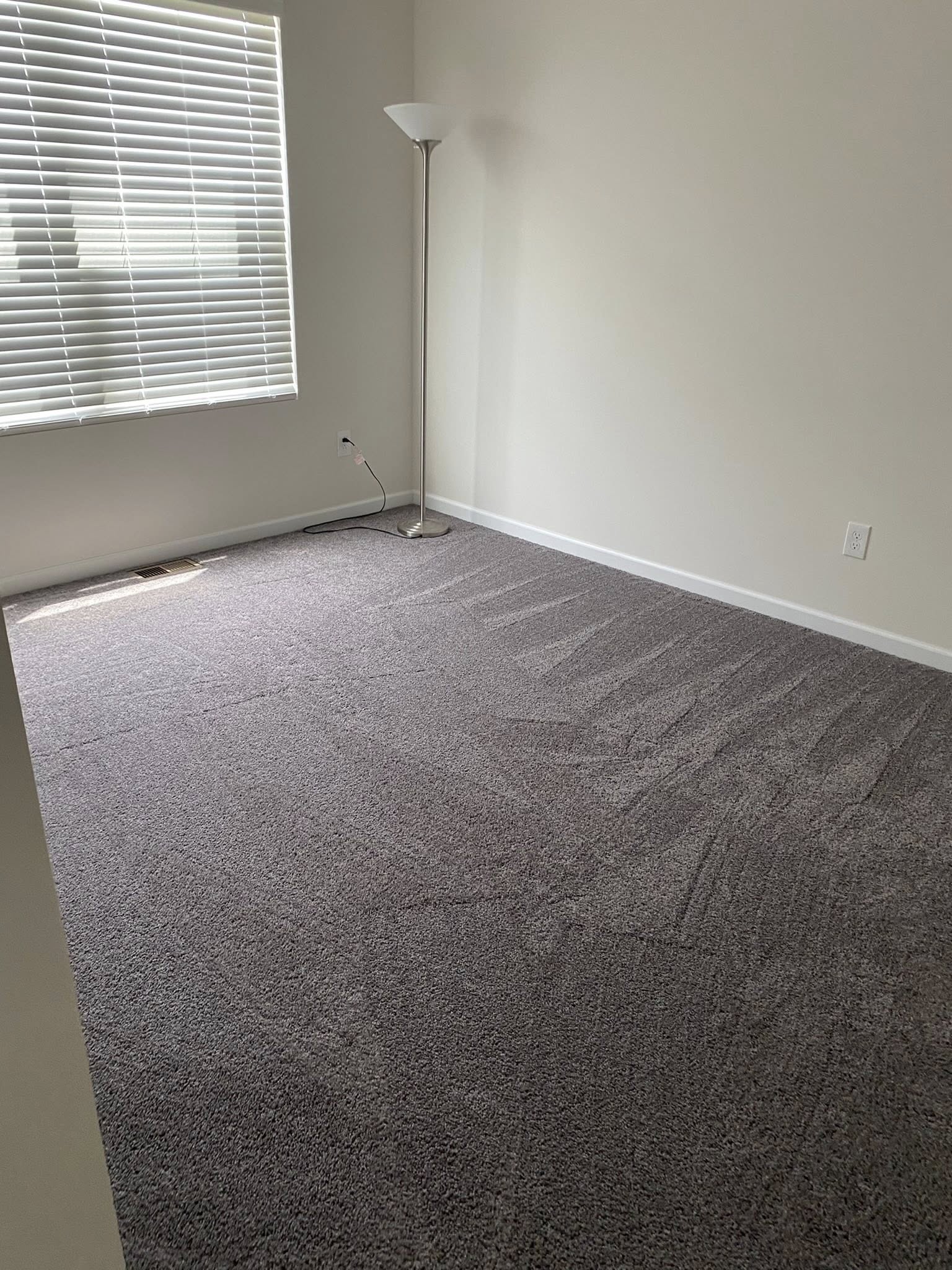 Clean carpet room